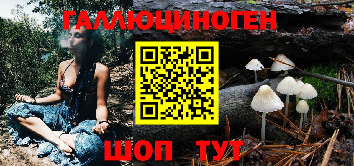 Казань  Псилоцибиновые грибы прущие грибы  Вход с VPN 